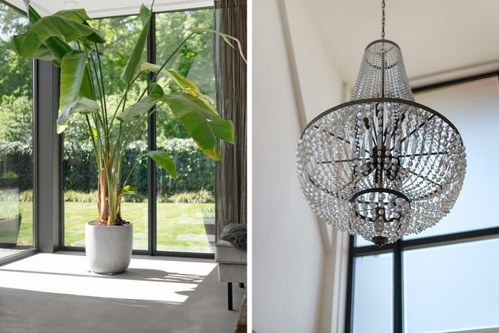 Foto 22 van Leghorn 1