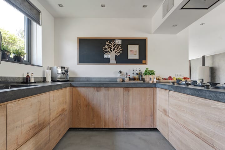 Foto 25 van Leghorn 1