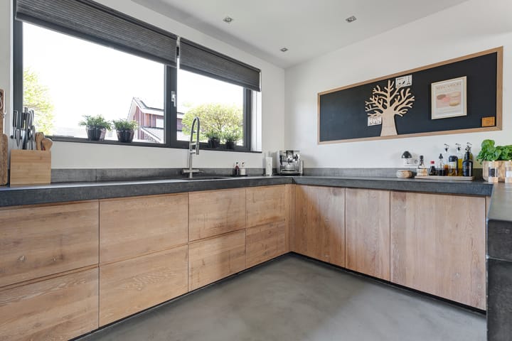 Foto 26 van Leghorn 1