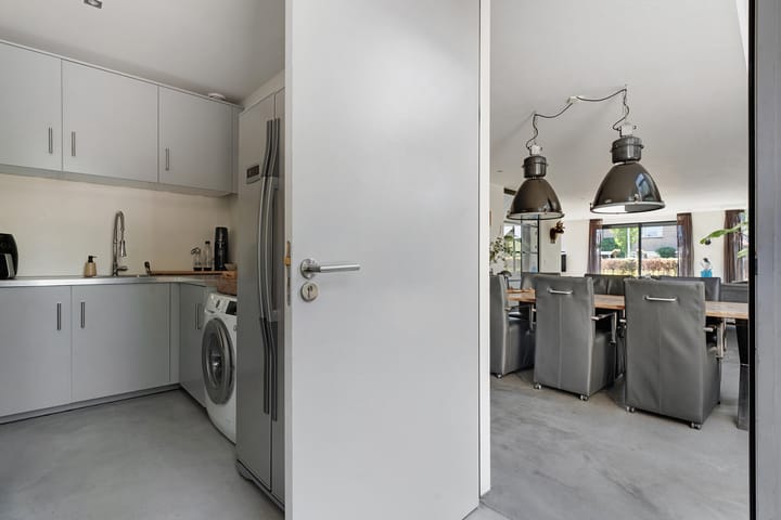 Foto 29 van Leghorn 1