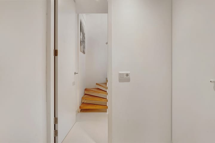 Foto 37 van Leghorn 1