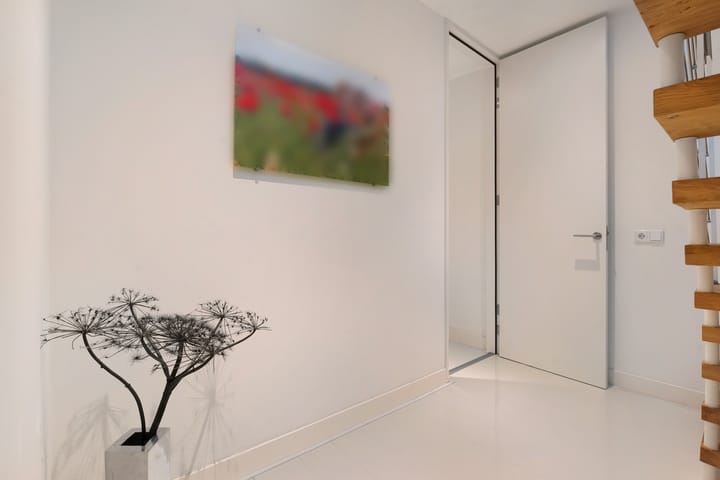 Foto 38 van Leghorn 1