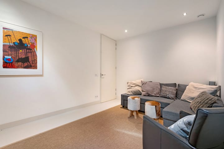 Foto 43 van Leghorn 1