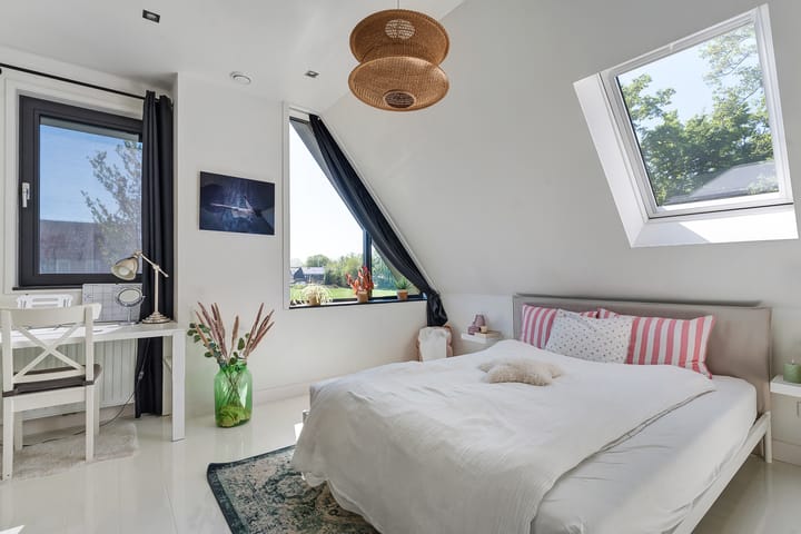 Foto 50 van Leghorn 1