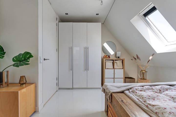 Foto 54 van Leghorn 1