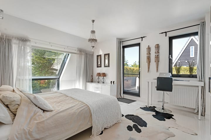 Foto 55 van Leghorn 1