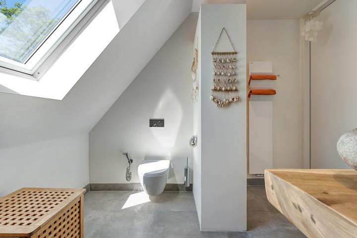 Foto 64 van Leghorn 1