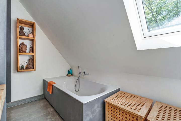 Foto 66 van Leghorn 1