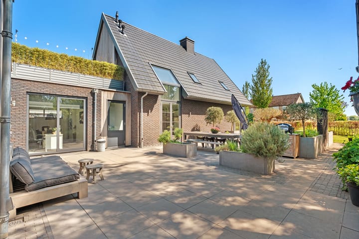 Foto 71 van Leghorn 1