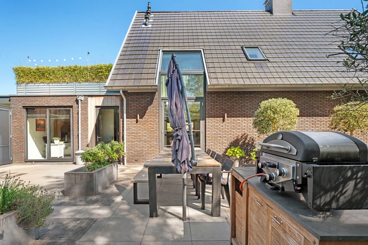 Foto 72 van Leghorn 1