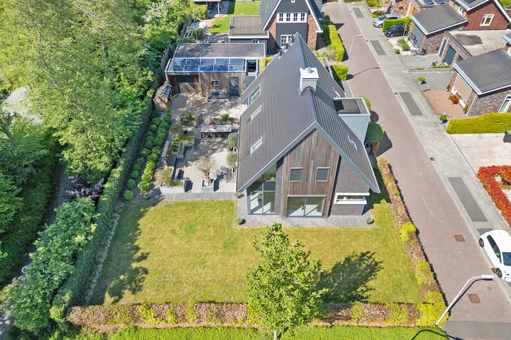 Foto 76 van Leghorn 1