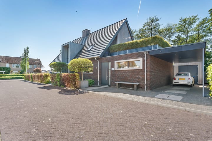 Foto 79 van Leghorn 1