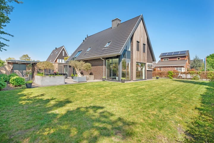 Foto 80 van Leghorn 1