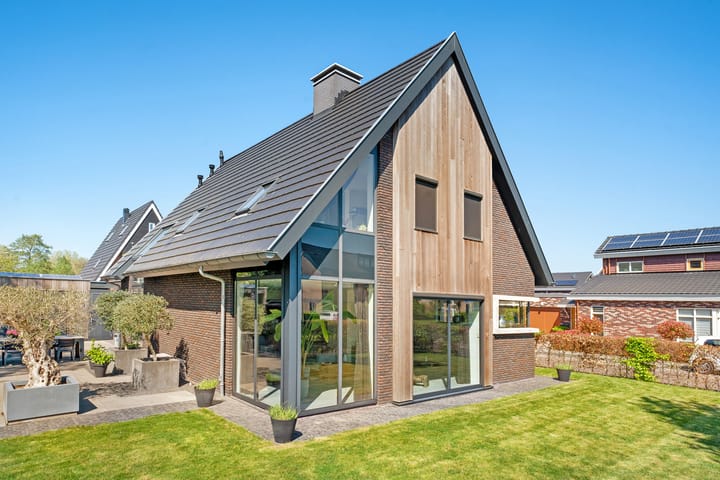 Foto 81 van Leghorn 1