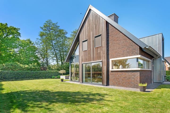 Foto 83 van Leghorn 1