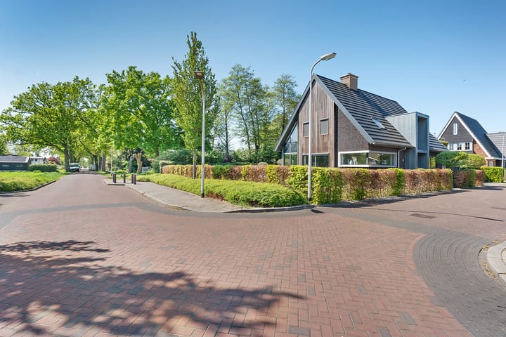 Foto 84 van Leghorn 1