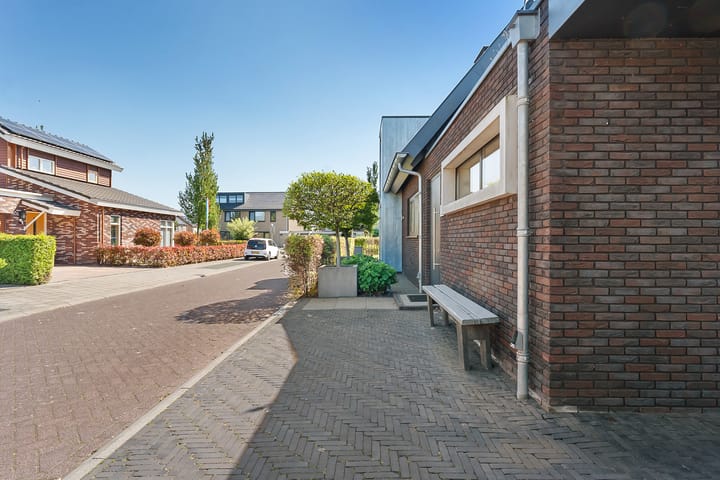 Foto 85 van Leghorn 1