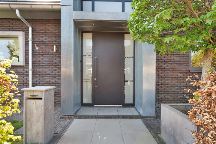 Foto 86 van Leghorn 1