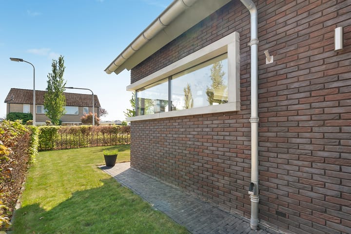 Foto 87 van Leghorn 1