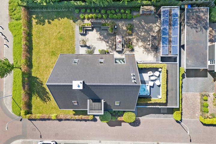 Foto 88 van Leghorn 1