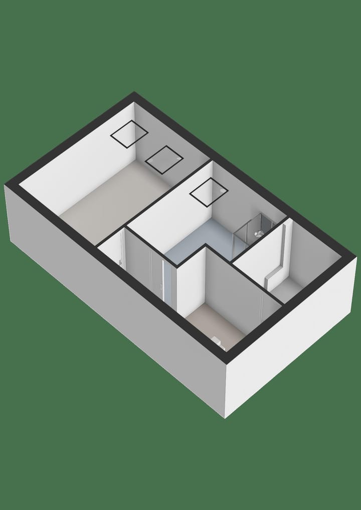 Foto 96 van Leghorn 1