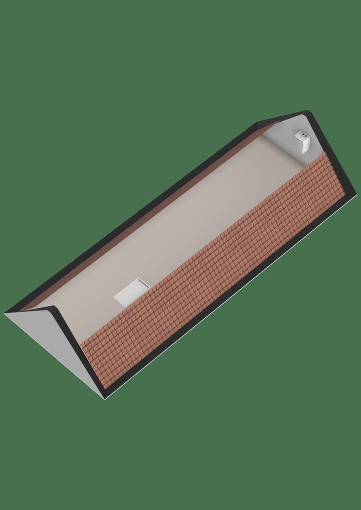 Foto 99 van Leghorn 1