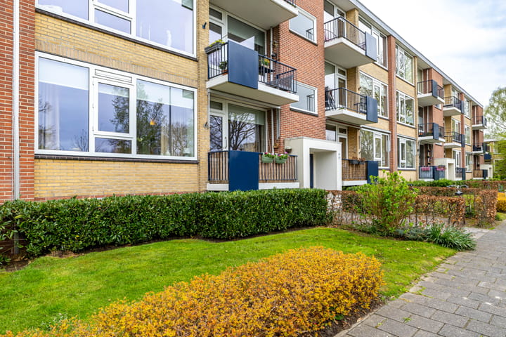 Photo 5 of Helperzoom 385