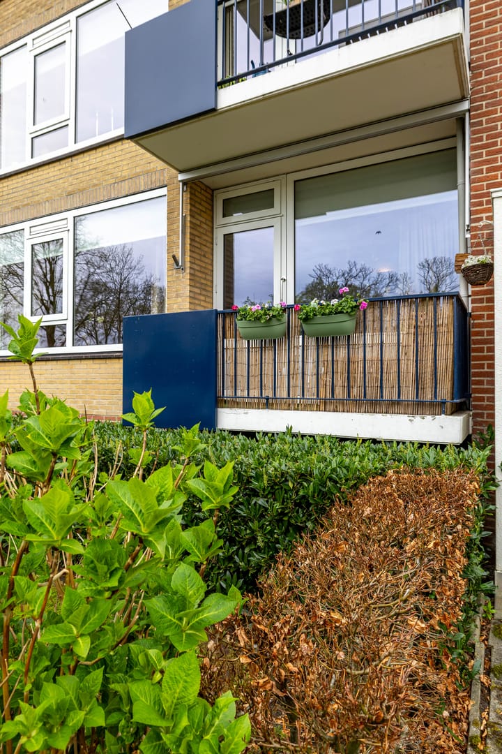 Photo 7 of Helperzoom 385