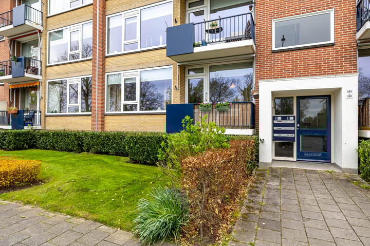 Photo 33 of Helperzoom 385