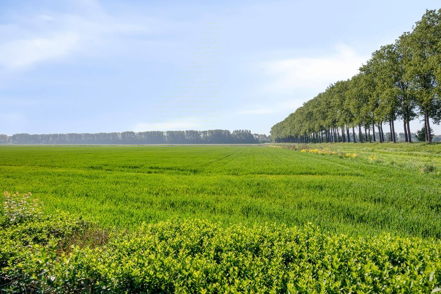 Foto 35 van Overslagseweg 1