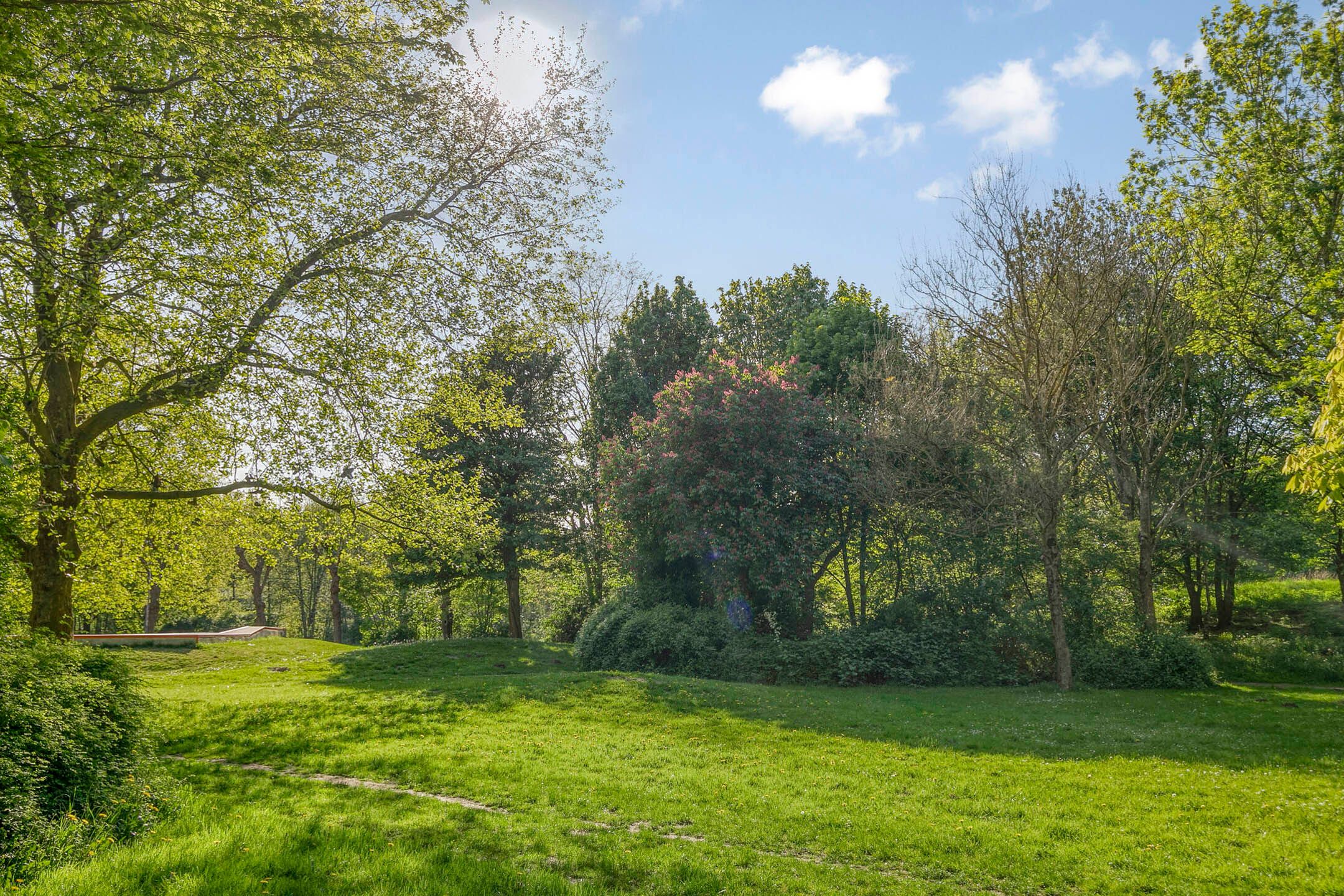 Photo 24 of Jan Tooroplaan 153