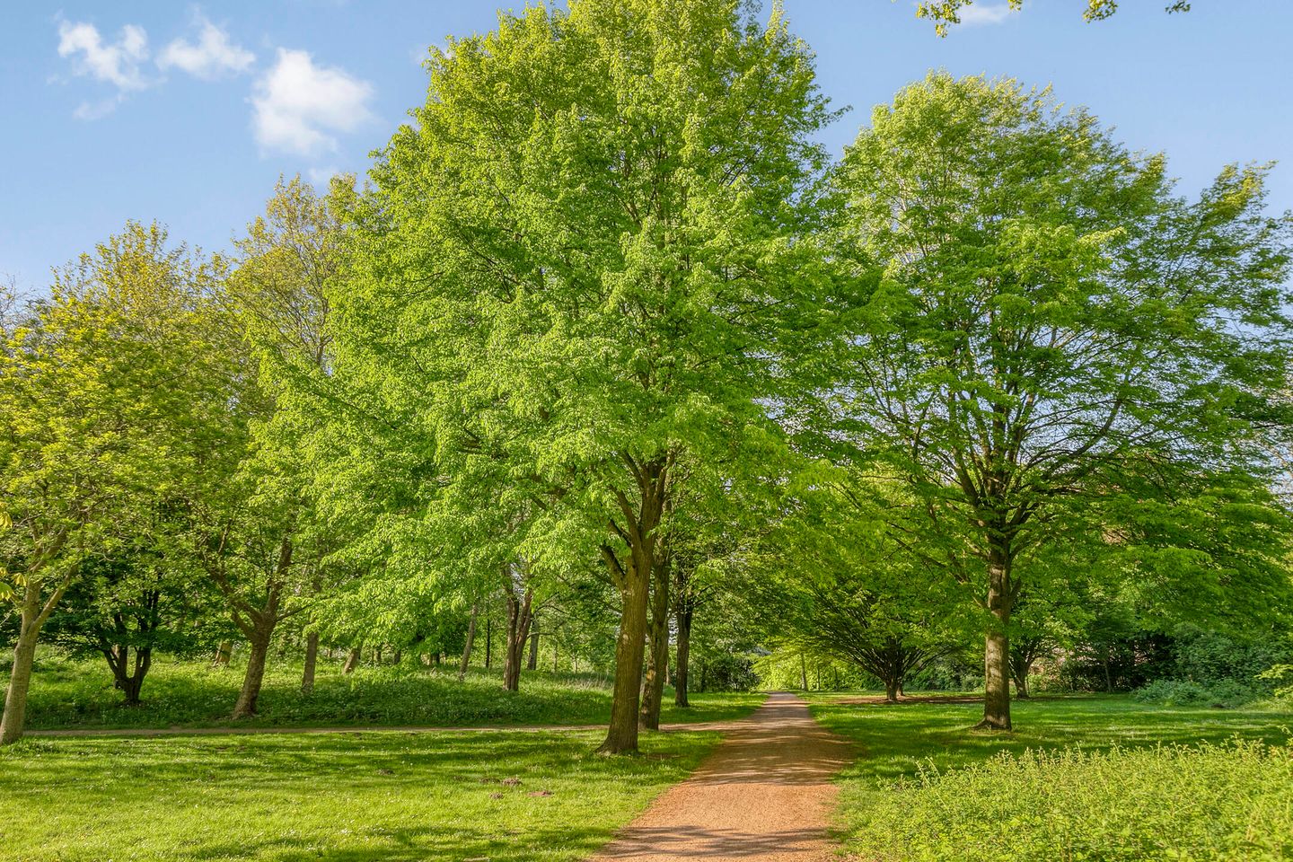 Photo 25 of Jan Tooroplaan 153