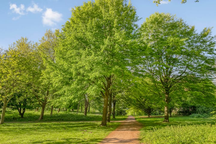 Foto 25 van Jan Tooroplaan 153