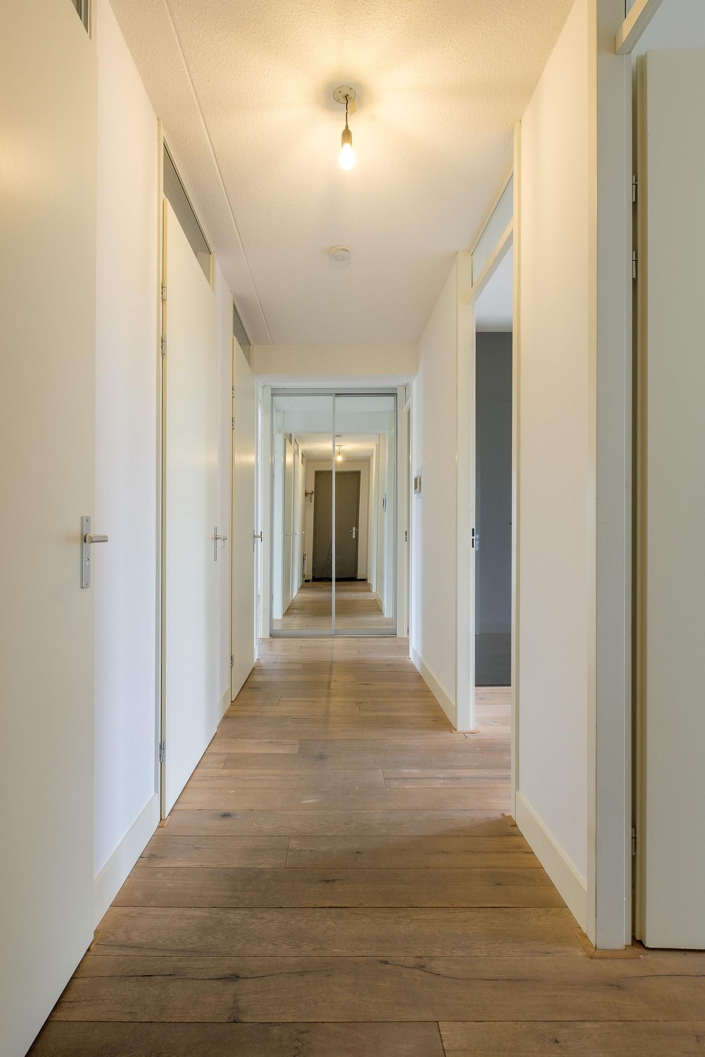 Foto 19 van Pieter Calandlaan 903