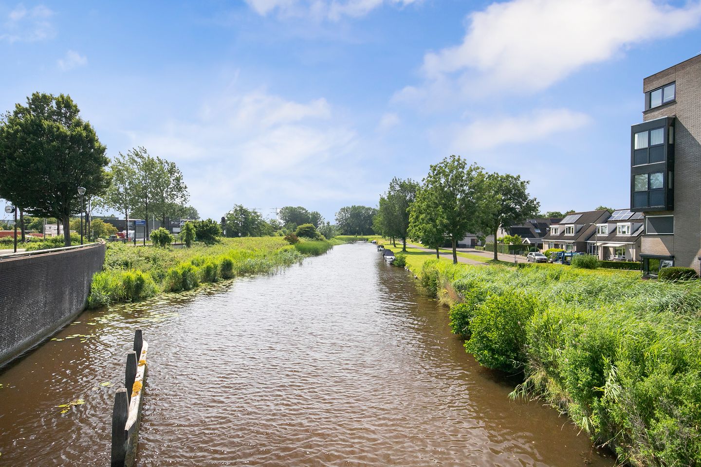 Foto 4 van Rooswinkelstate 26