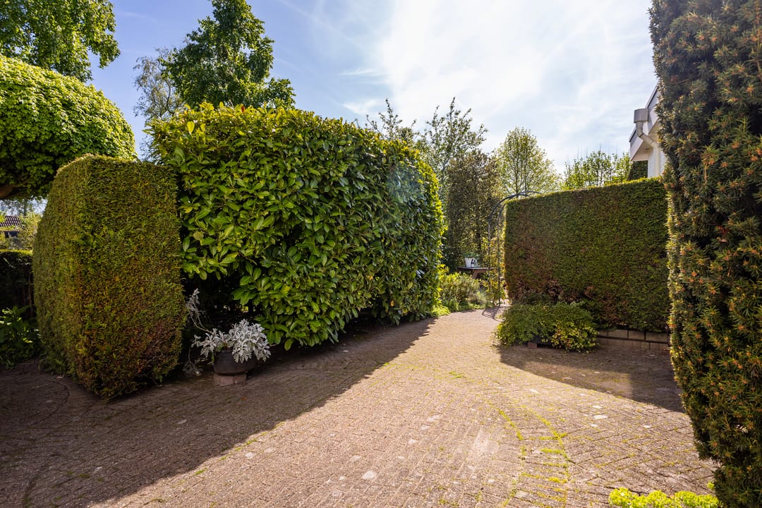 Foto 53 van Irenestraat 36