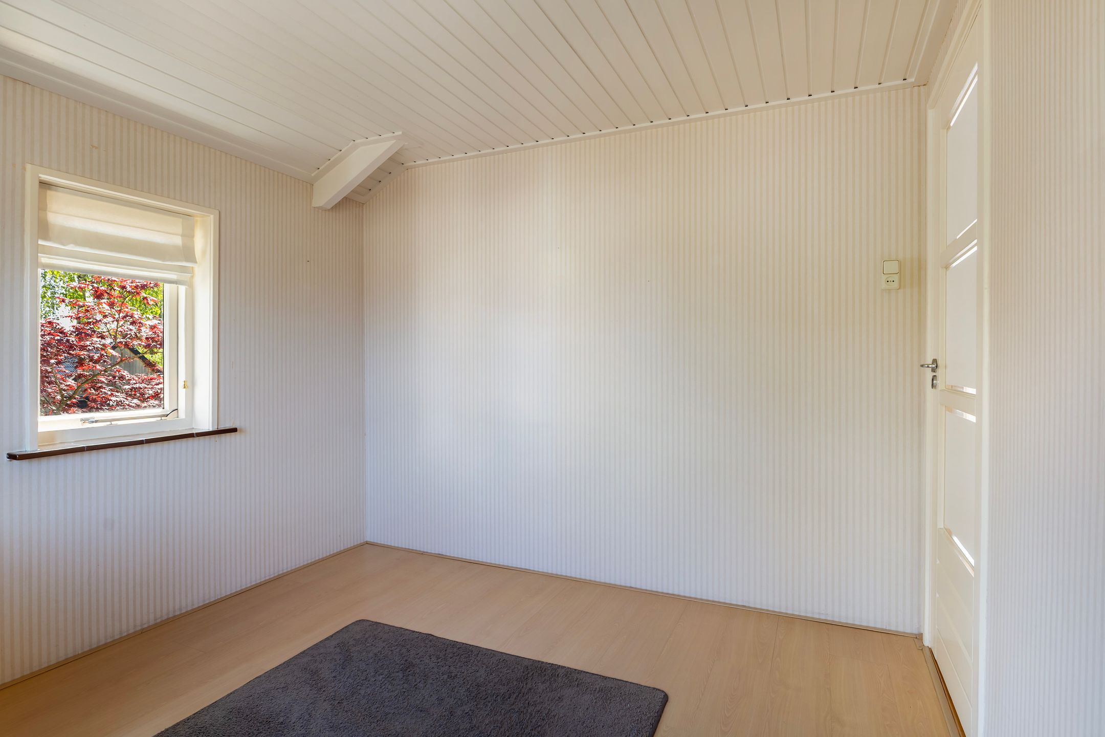 Foto 66 van Irenestraat 36