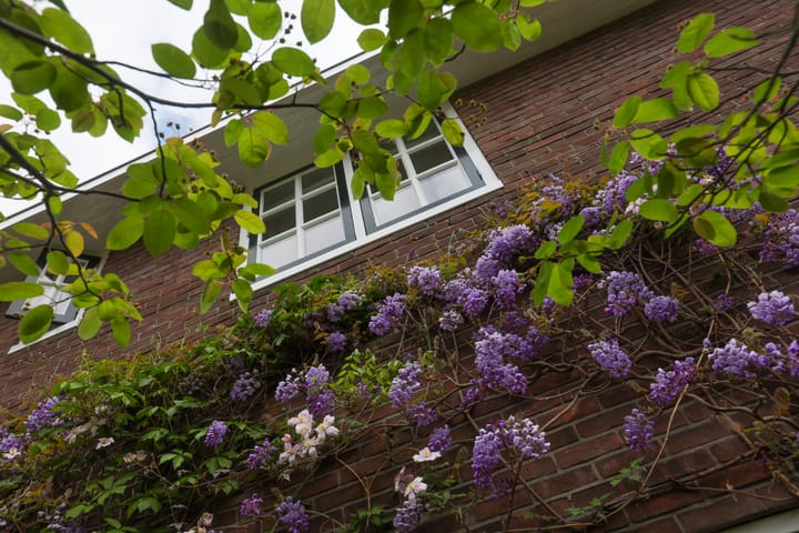 Foto 31 van Eerste Molenweg 48