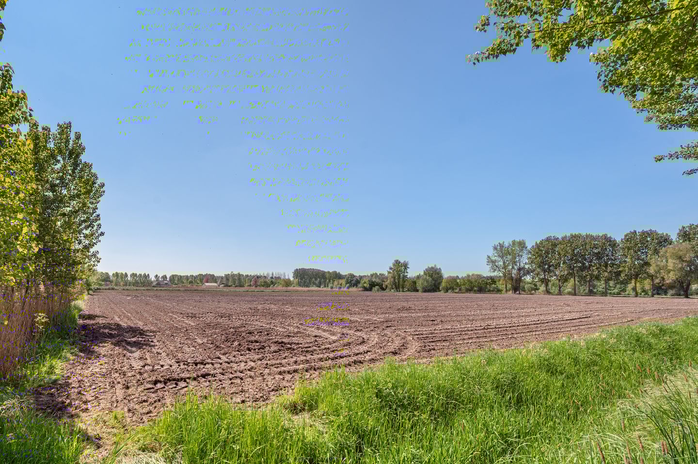 Foto 44 van Oetelaarsestraat 21