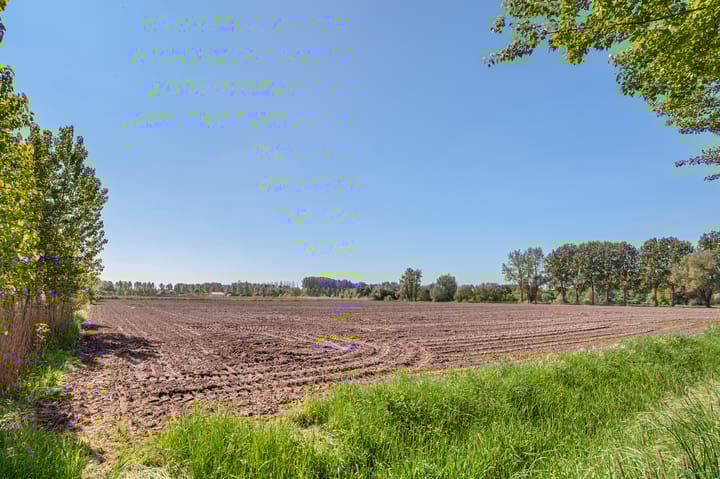 Foto 44 van Oetelaarsestraat 21