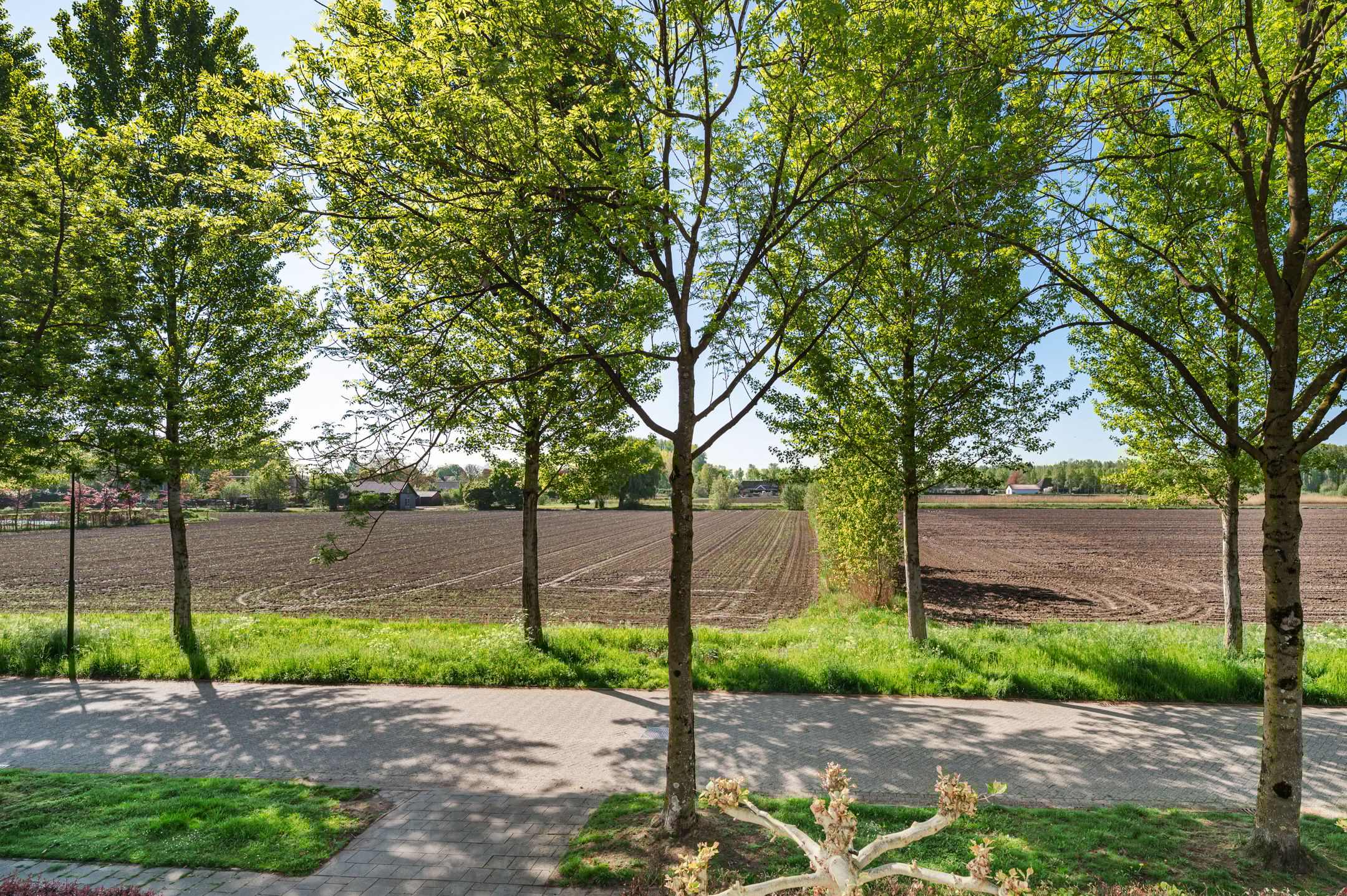 Foto 45 van Oetelaarsestraat 21