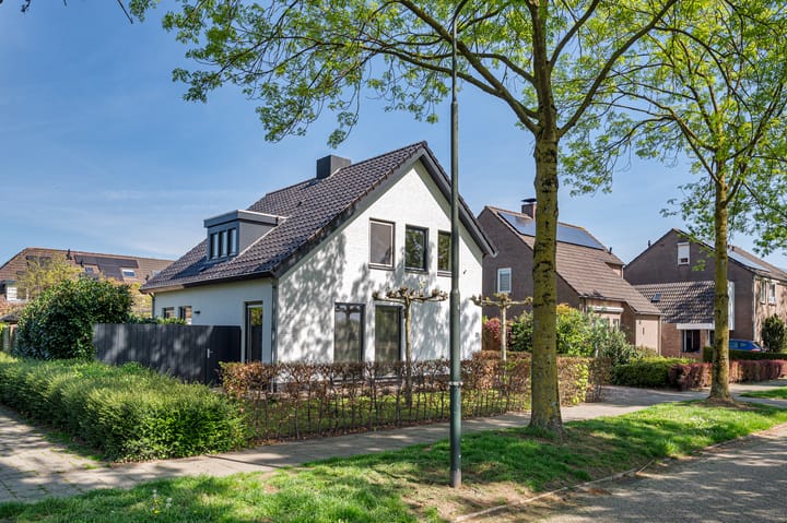 Foto 46 van Oetelaarsestraat 21