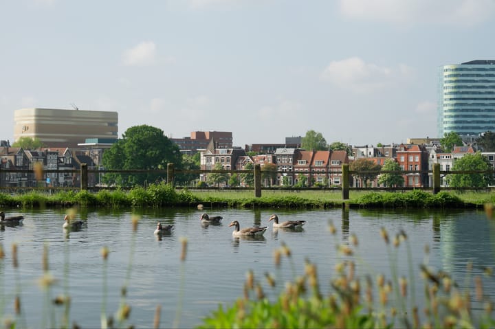 Foto 49 van Lovinklaan 1-21