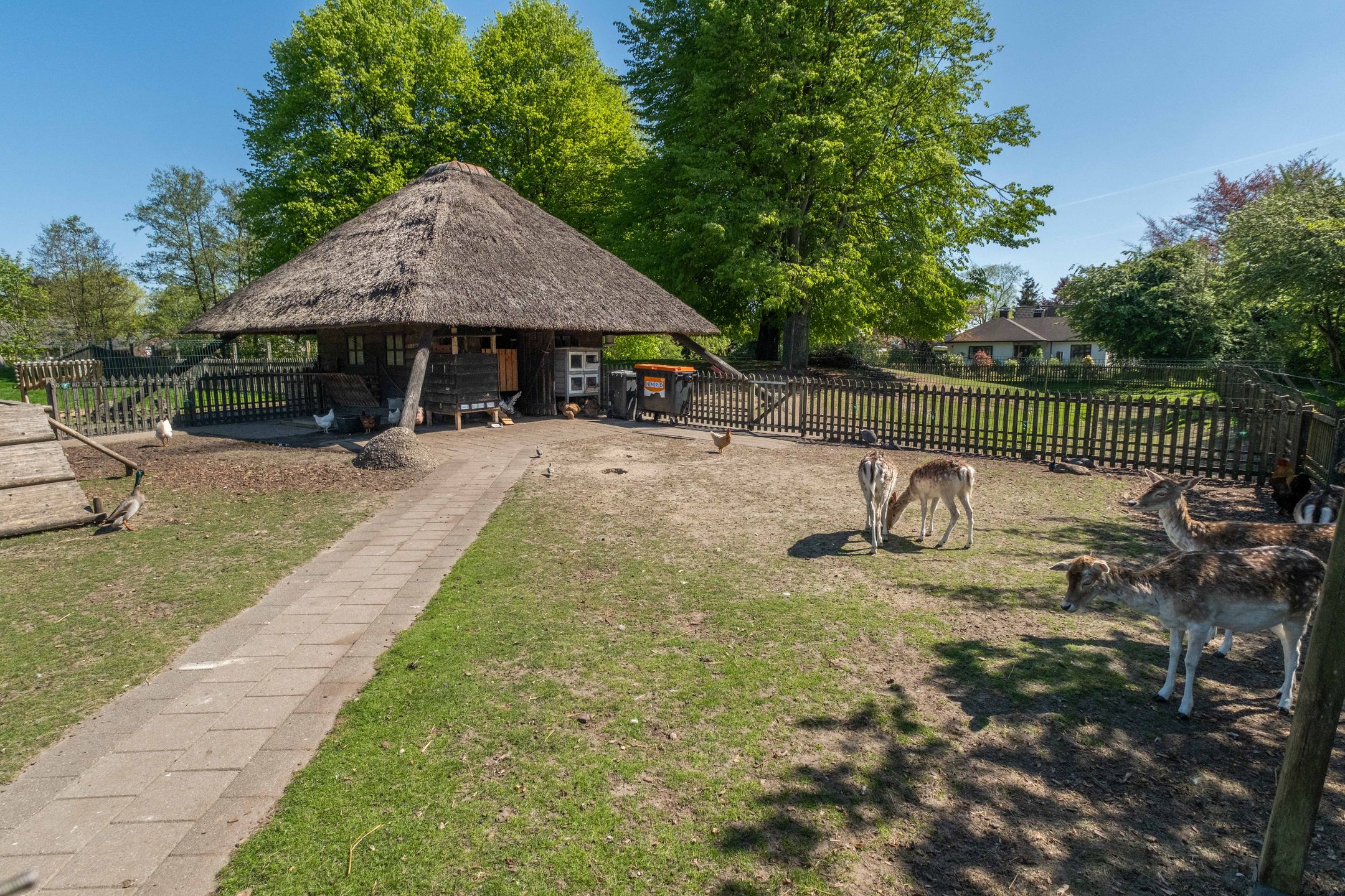 Photo 99 of Miesstrjitte 30