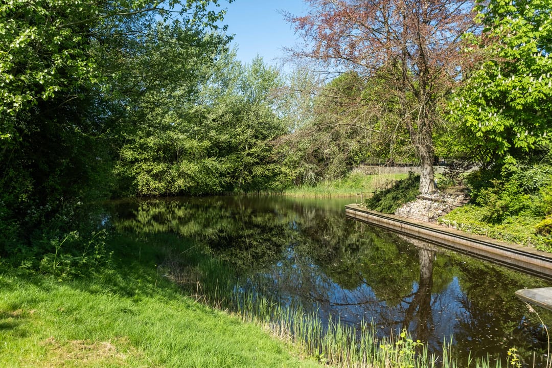 Photo 101 of Miesstrjitte 30