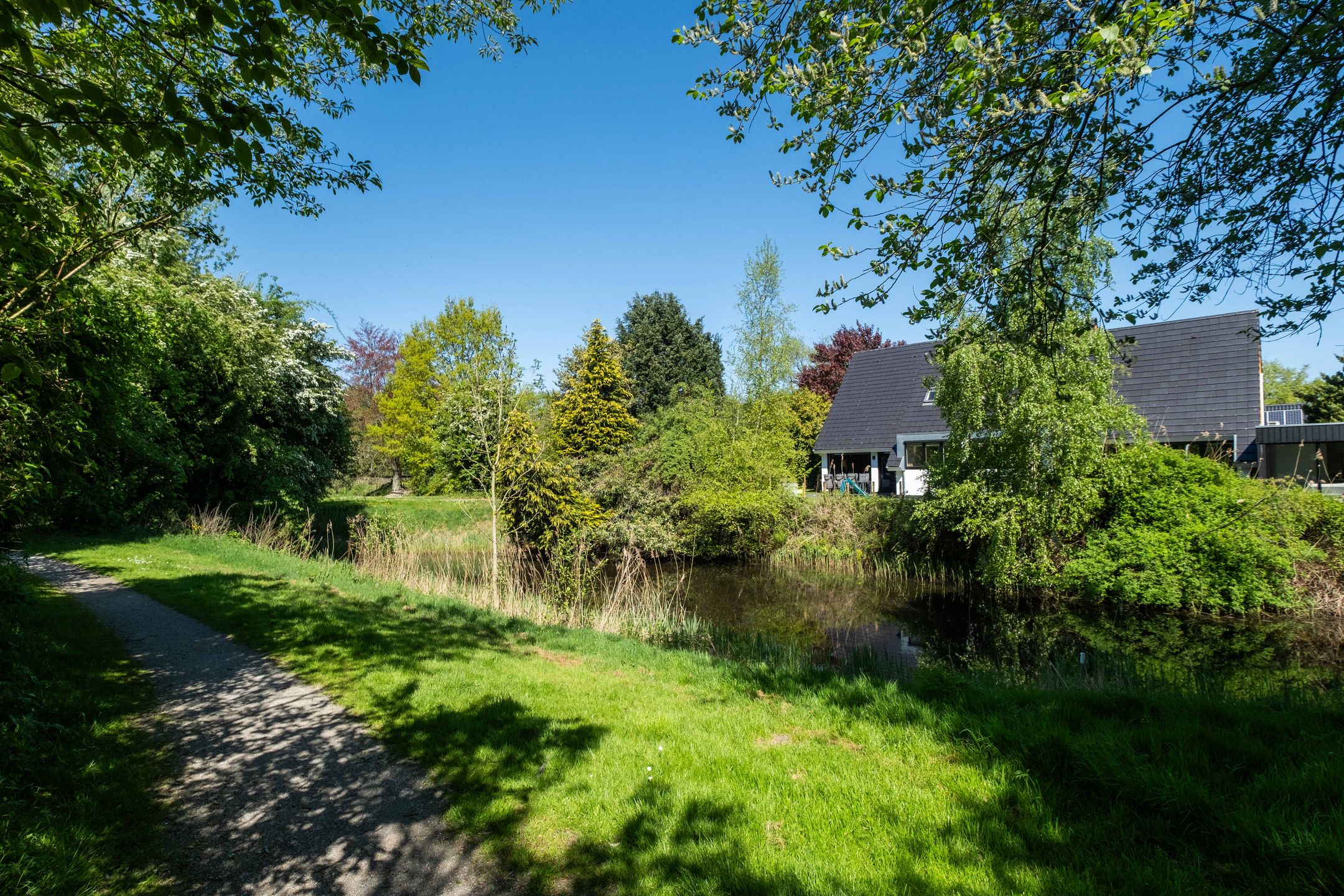 Photo 102 of Miesstrjitte 30