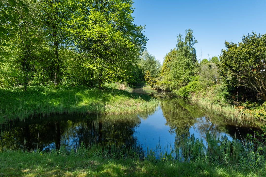 Photo 103 of Miesstrjitte 30