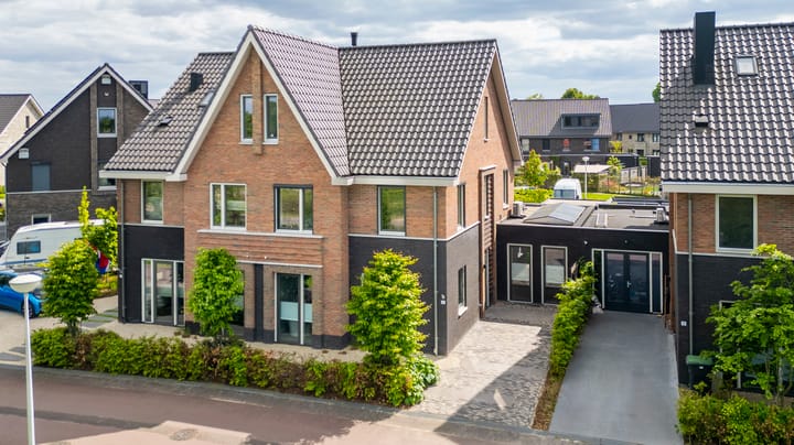 Zwarte Roodstaart 16
