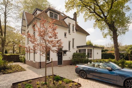 Ruïnelaan thumbnail