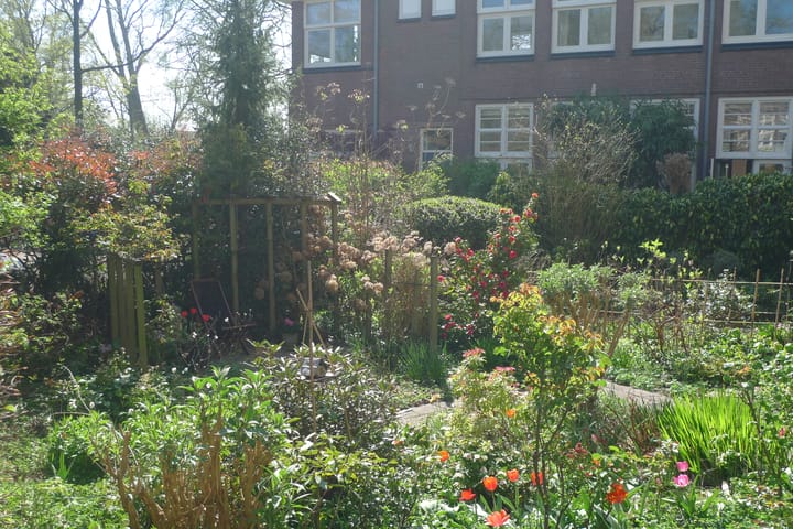 Foto 36 van Dr. C.W.H. van Raaltenpark 5